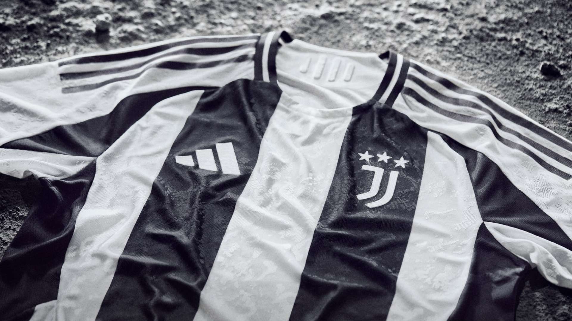 理和市场经 理和市场经